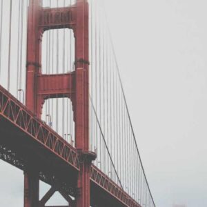 Banner 3